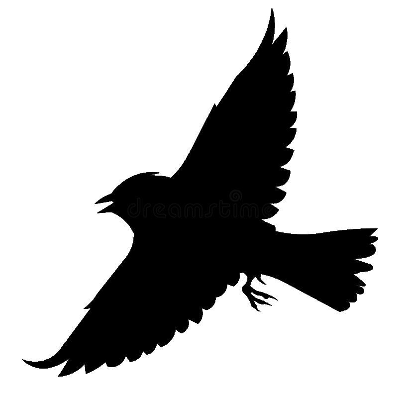 skylark silhouette