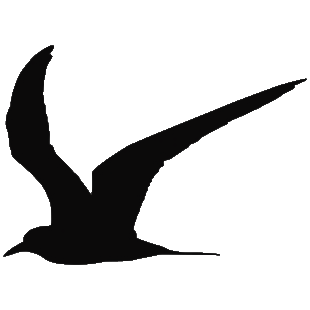 tern silhouette